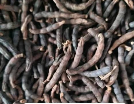 POIVRE AFRICAIN LONGUE