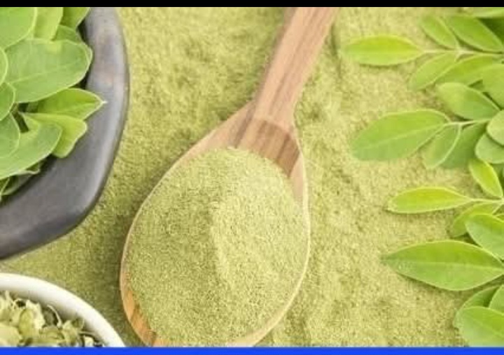 POUDRE DE MORINGA