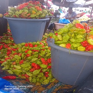 1 SEAU DE PIMENTS ORDINAIRES