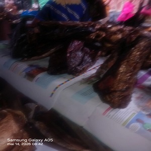 UN TAS DE 4 GROS MORCEAUX DE THONS FUMES