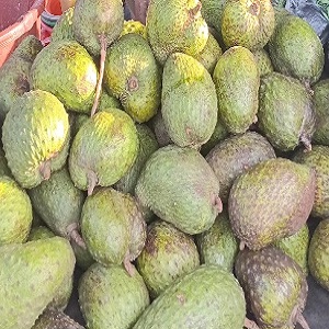 3 COROSSOLS MOYENNES