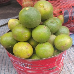 CITRONS NON MURS