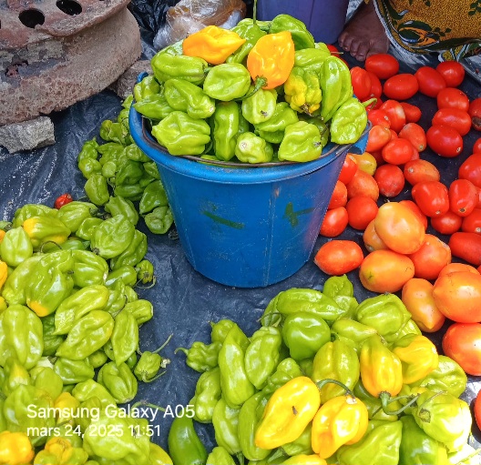 PIMENTS SE NT BON EN SEAU