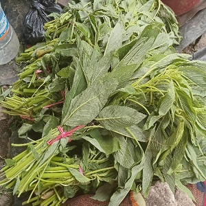 FEUILLES DE DAH