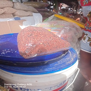 UN KG DE SORGO ROUGE
