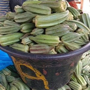 GOMBOS FRAIS
