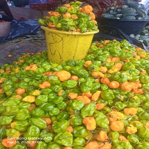 1 SEAU DE PIMENTS SENT BON