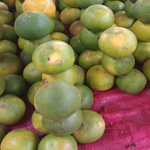20 ORANGES