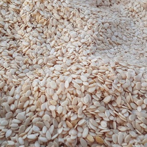 PETITS GRAINS DE PISTACHES