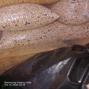 UN KG DE SORGO BLANCS