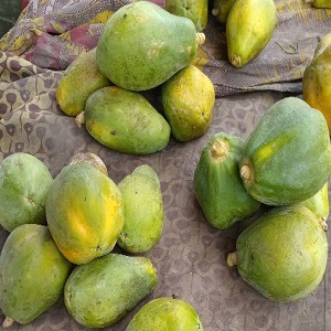 5 GROSSES PAPAYES