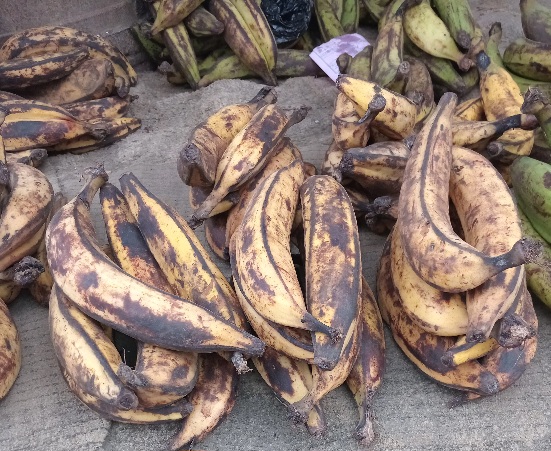 UN TAS DE 12 BANANES ALLOCO EN TAS