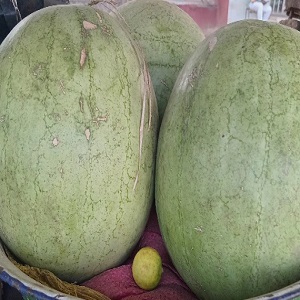 PASTEQUES