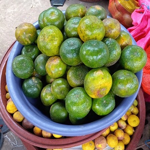 20 GROSSES MADARINES