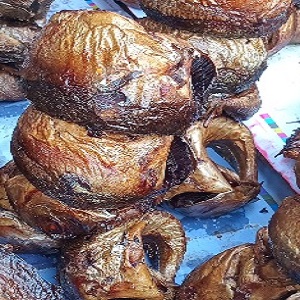 POISSONS JAMBONS