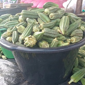 GOMBOS FRAIS