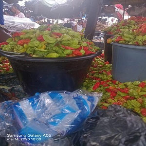 1 GROS SEAU DE PIMENTS ORDINAIRES