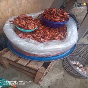CREVETTES PREMIER CHOIX