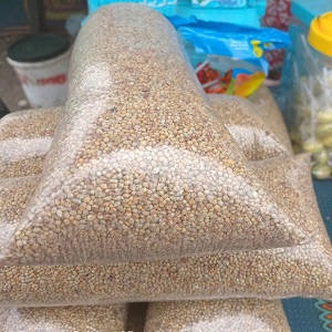 GRAINS DE SOJA