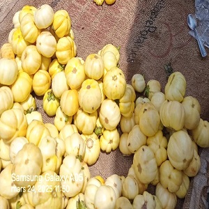 AUBERGINES EN TAS