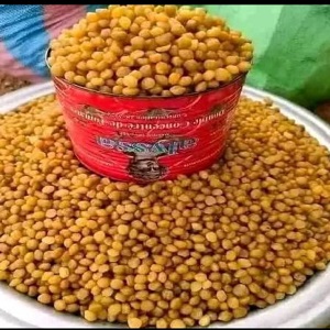 AKPI PREMIERE QUALITE EN BOITE DE TOMATE