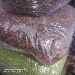 1 KG DE PROIVRON EN GRAIN