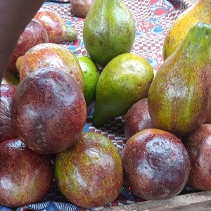 4 AVOCATS BEURRES