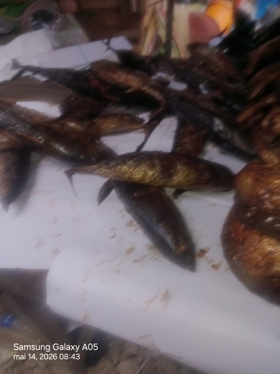 UN TAS DE 3 THONS FUMES