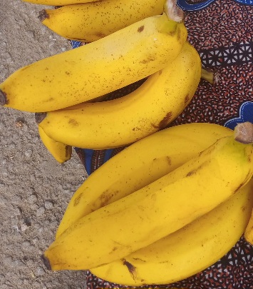 20 GROSSES BANANES DOUCES