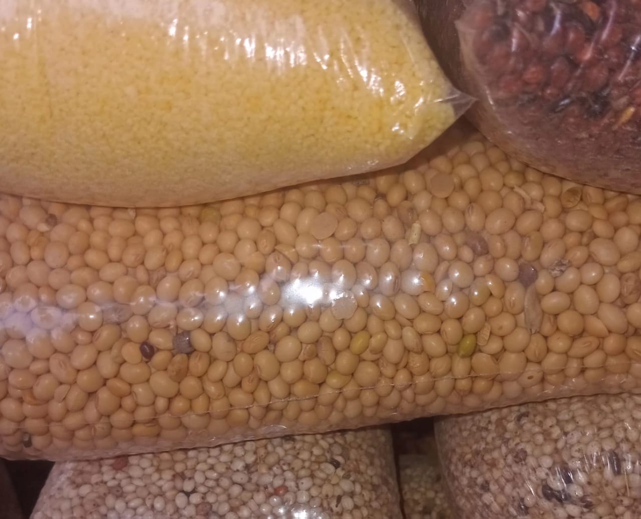 UN KG DE SOJA BLANC