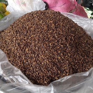 UN KG DE TERMITES