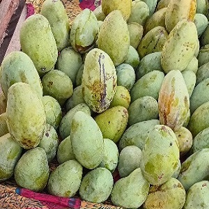 4  MANGUES BOUAKE MOYENNES