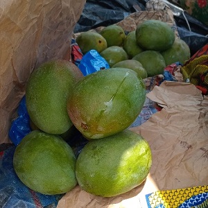 4 GROSSES MANGUES
